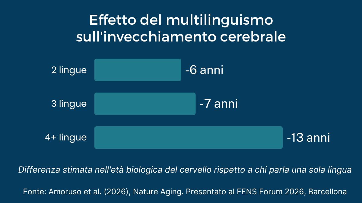 grafico a barre